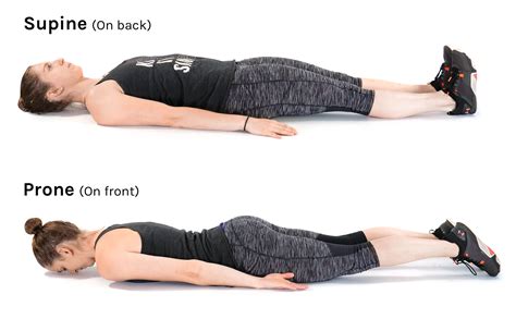 Pronebone position. Things To Know About Pronebone position. 